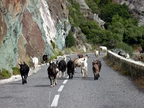 A Rena D'oru Hotel 2*